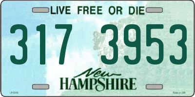 NH license plate 3173953