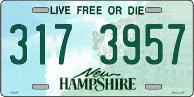 NH license plate 3173957