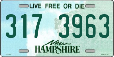NH license plate 3173963
