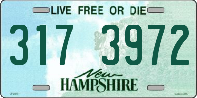 NH license plate 3173972