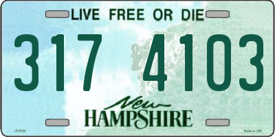 NH license plate 3174103