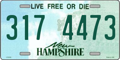 NH license plate 3174473