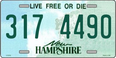 NH license plate 3174490