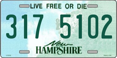 NH license plate 3175102