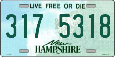 NH license plate 3175318