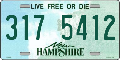 NH license plate 3175412