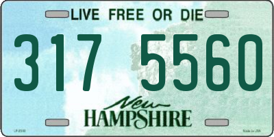 NH license plate 3175560