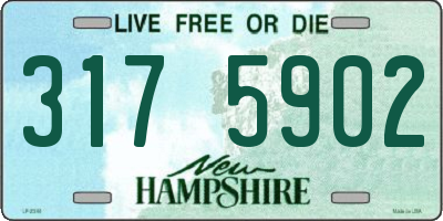 NH license plate 3175902