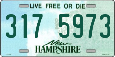 NH license plate 3175973