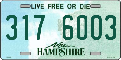 NH license plate 3176003