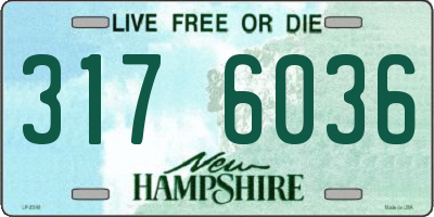 NH license plate 3176036