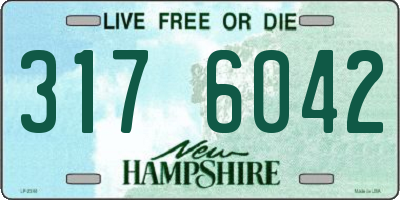 NH license plate 3176042