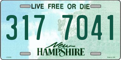 NH license plate 3177041