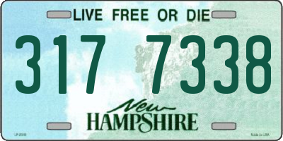NH license plate 3177338