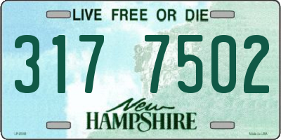 NH license plate 3177502