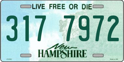 NH license plate 3177972