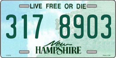 NH license plate 3178903