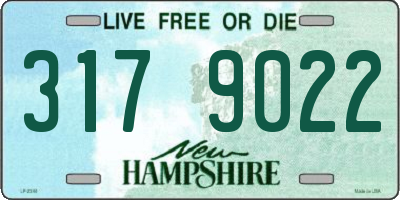 NH license plate 3179022