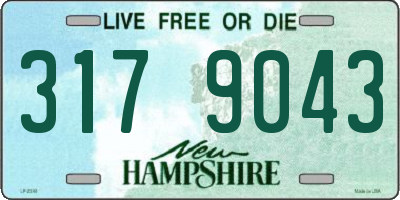 NH license plate 3179043
