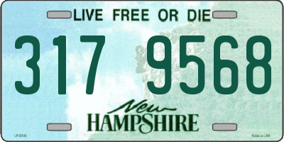 NH license plate 3179568