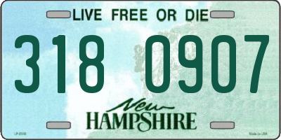 NH license plate 3180907