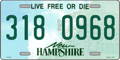NH license plate 3180968