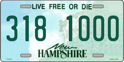 NH license plate 3181000