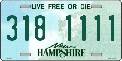 NH license plate 3181111