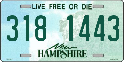 NH license plate 3181443