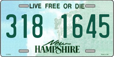 NH license plate 3181645