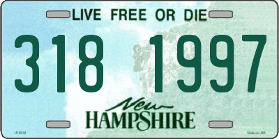 NH license plate 3181997