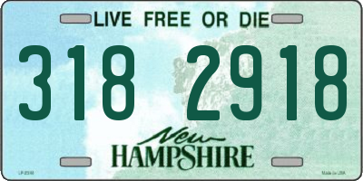 NH license plate 3182918