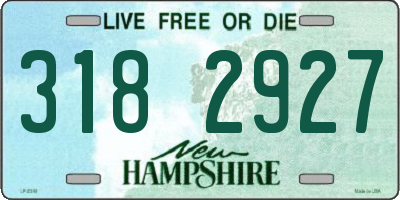 NH license plate 3182927