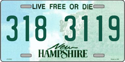 NH license plate 3183119