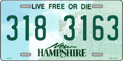 NH license plate 3183163
