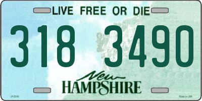 NH license plate 3183490