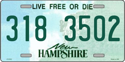 NH license plate 3183502