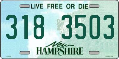 NH license plate 3183503