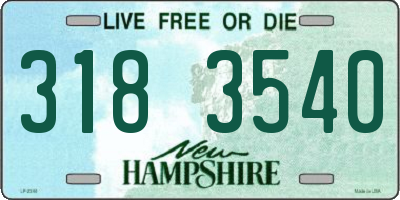 NH license plate 3183540