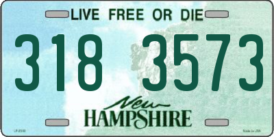 NH license plate 3183573