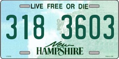 NH license plate 3183603