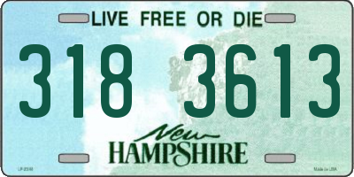 NH license plate 3183613