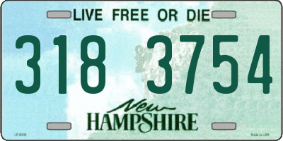 NH license plate 3183754