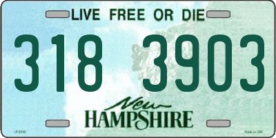 NH license plate 3183903