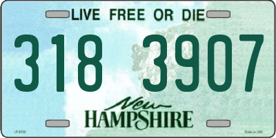 NH license plate 3183907