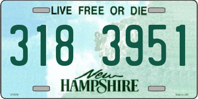 NH license plate 3183951