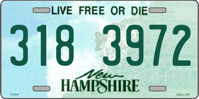 NH license plate 3183972