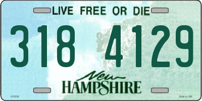 NH license plate 3184129
