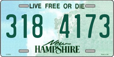 NH license plate 3184173