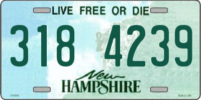 NH license plate 3184239